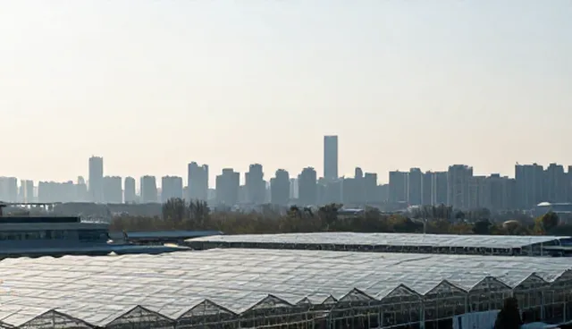 做个网页:企业入驻支持中的选型关注点解析